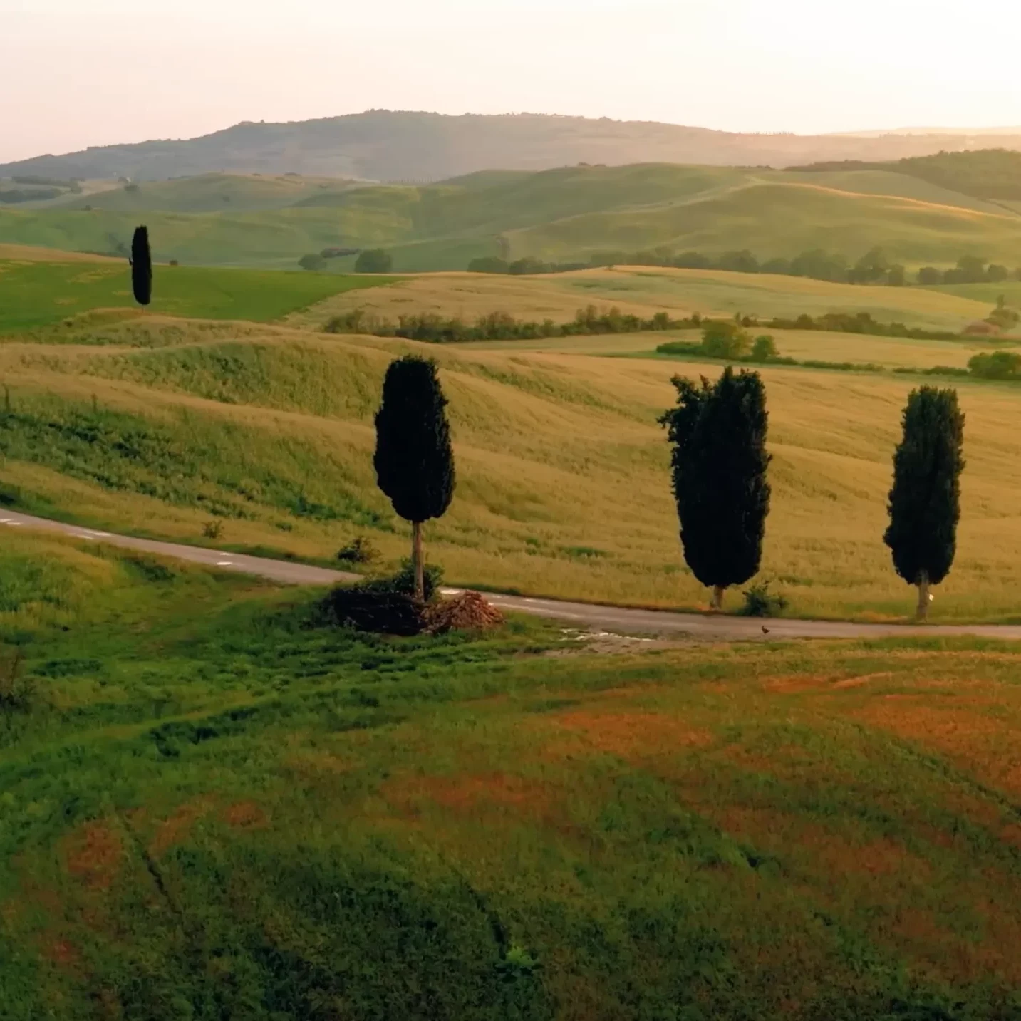 Bellissimo paesaggio toscano con cipressi e campi verdi illuminati dal sole al tramonto