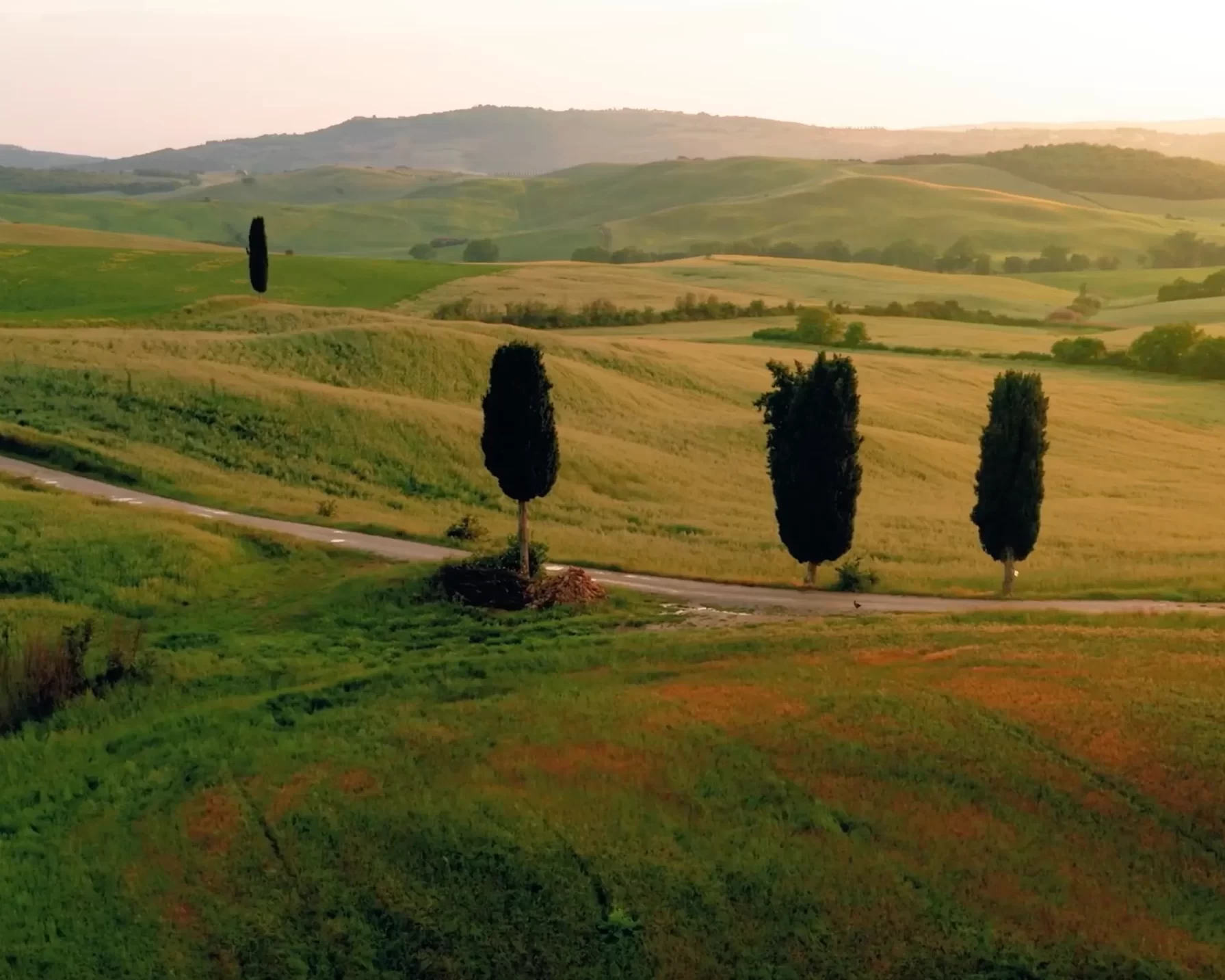 Bellissimo paesaggio toscano con cipressi e campi verdi illuminati dal sole al tramonto