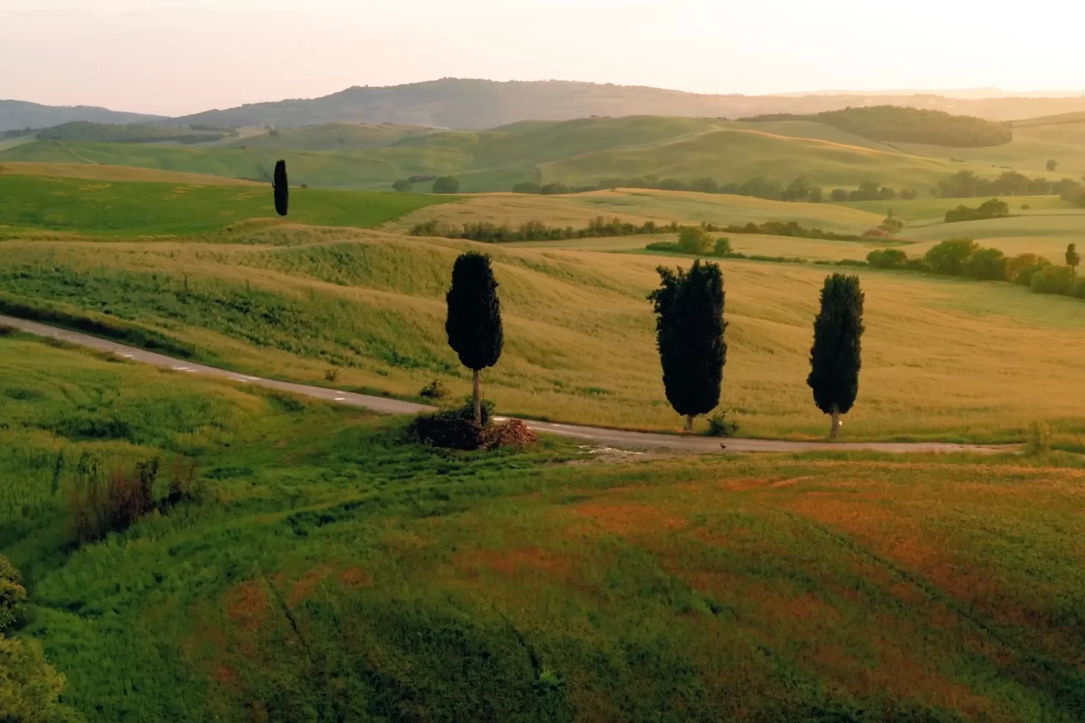 Bellissimo paesaggio toscano con cipressi e campi verdi illuminati dal sole al tramonto