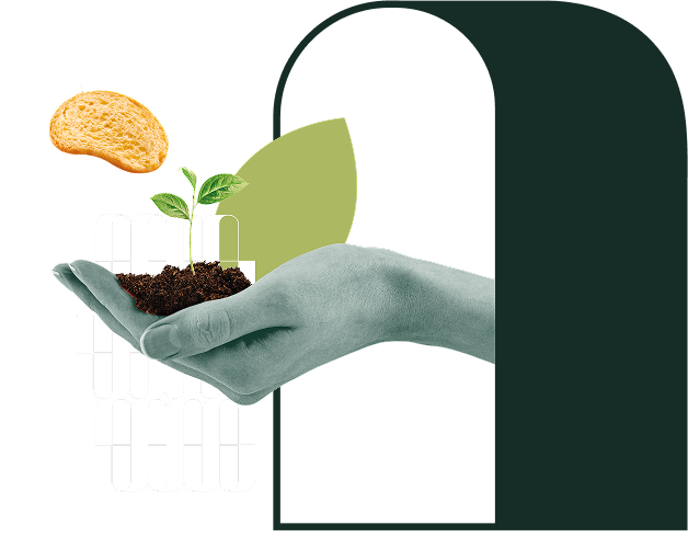 Mano che tiene terra con una piantina, mentre un snack vegetale vola sopra