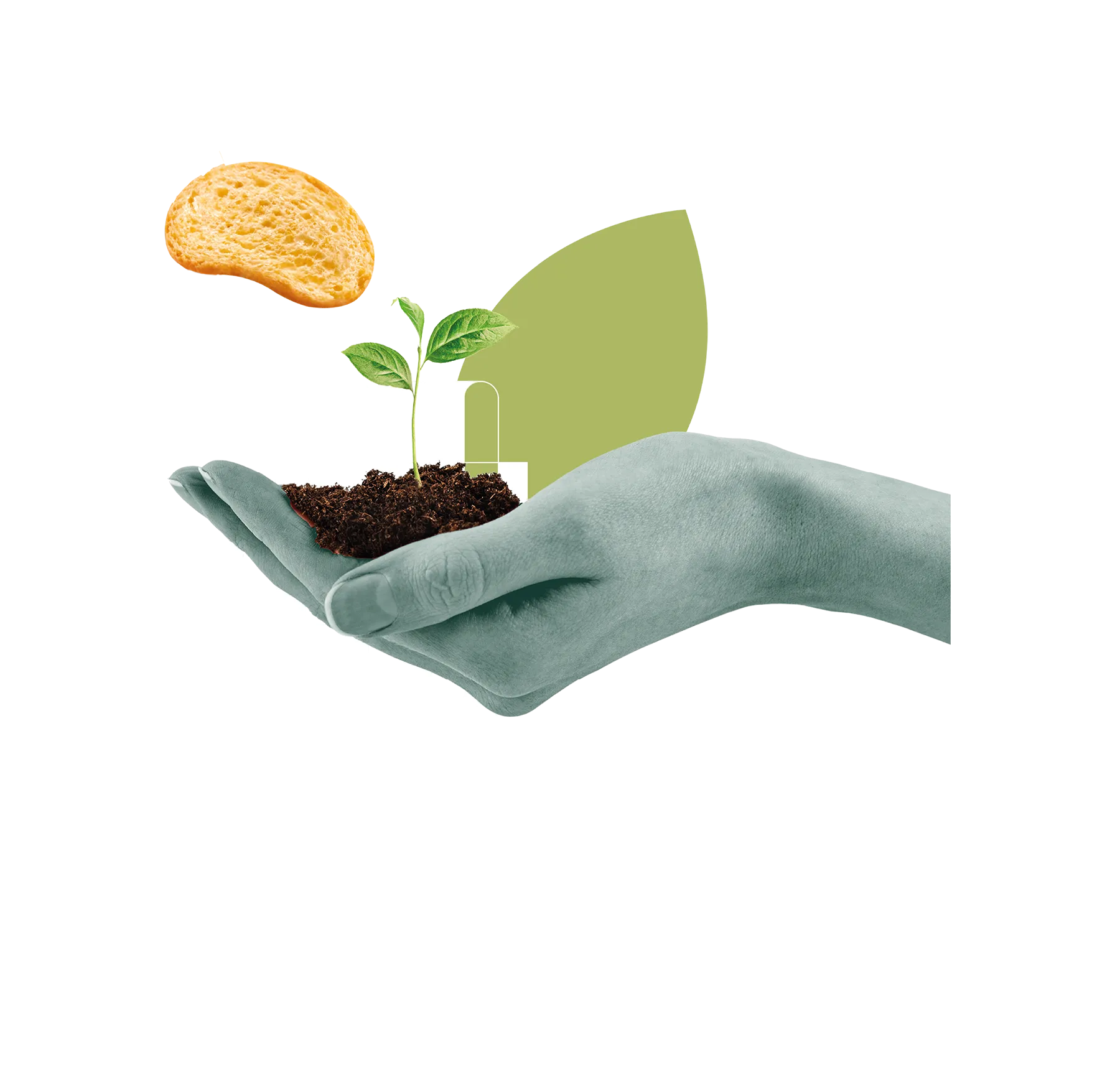 Mano che tiene una piantina verde con terreno e una fetta di pane vicino