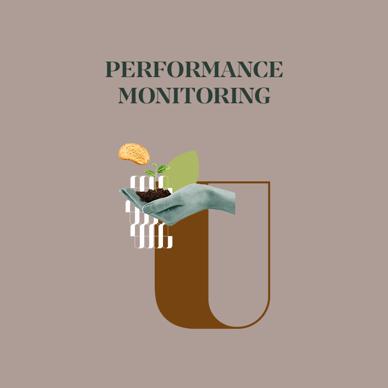 Graphic representation of performance monitoring featuring a hand, plant, and abstract shapes